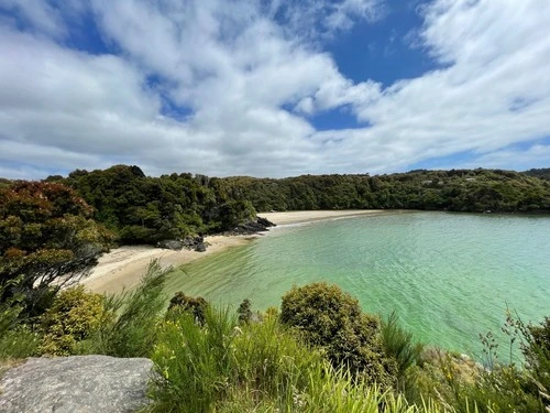 Bathing Beach - New Zealand