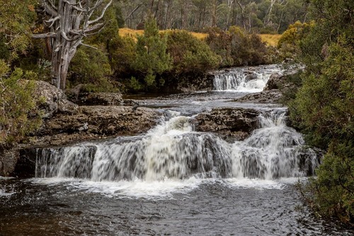 Cascades of Pencil Pine Creek - Desde Bridge of Cradle Mountain Road, Australia