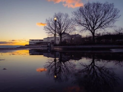 Shedd Aquarium - Z Lakefront Trail, via a nice puddle, United States