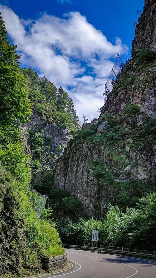 Hirschsprung - Deer's Jump - Germany