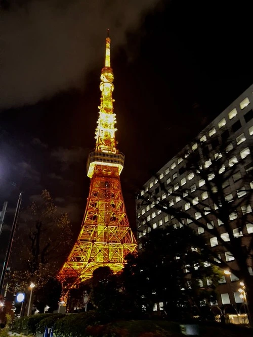 Tokyo Tower - من Tokyo Tower-dori Street, Japan