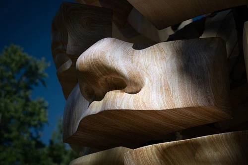 Sentient sculpture by Daniel Popper - Desde The Morton Arboretum, United States