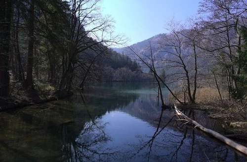 Thumsee - 从 Brücke nahe Parkplatz, Germany