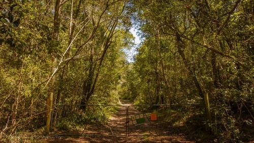 King Edward VII Picnic Spot - Desde Hiking trail, South Africa