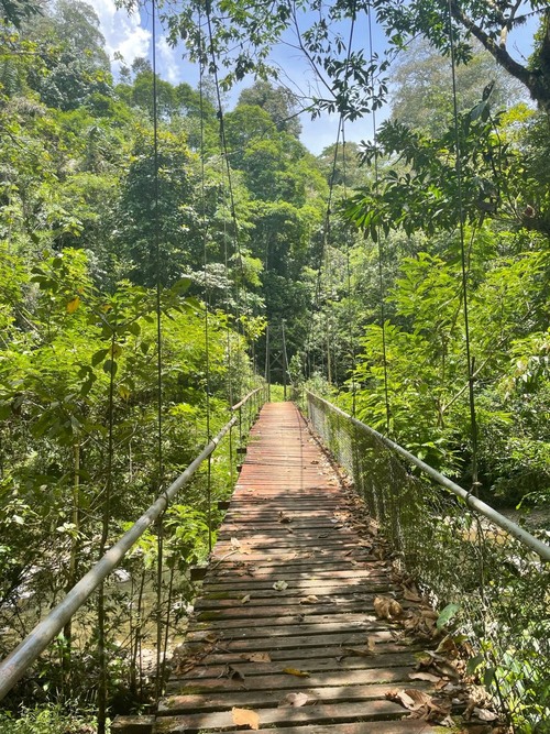 Bridge over Tscuí river - Costa Rica