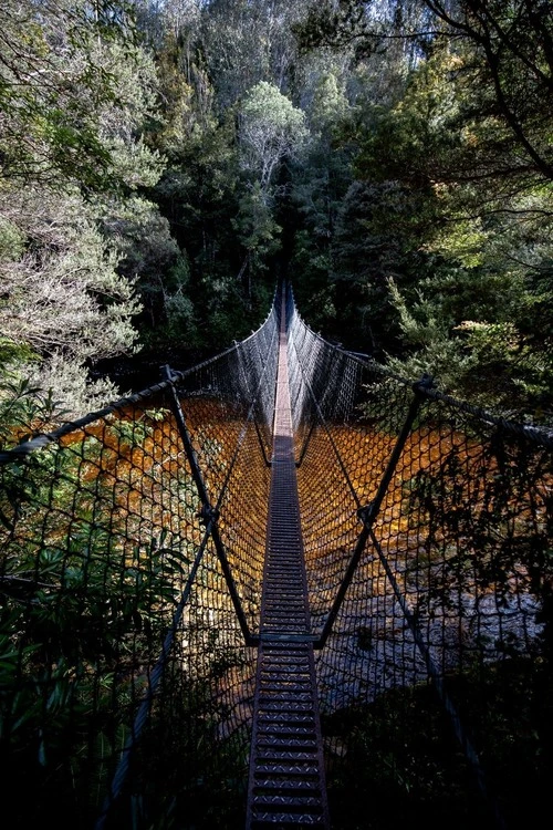 Frenchmans Cap Suspended Bridge - Aus Frenchmans Cap Track, Australia