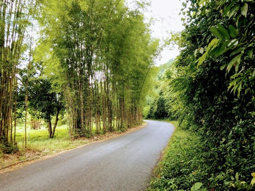Song Phi Nong's Route - Thailand