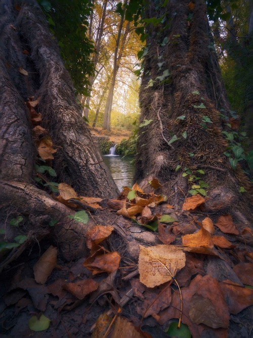 Molí l'ombria - Spain