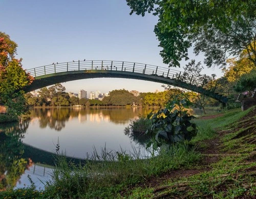 Torre metálica - Desde Parque Ibirapuera, Brazil