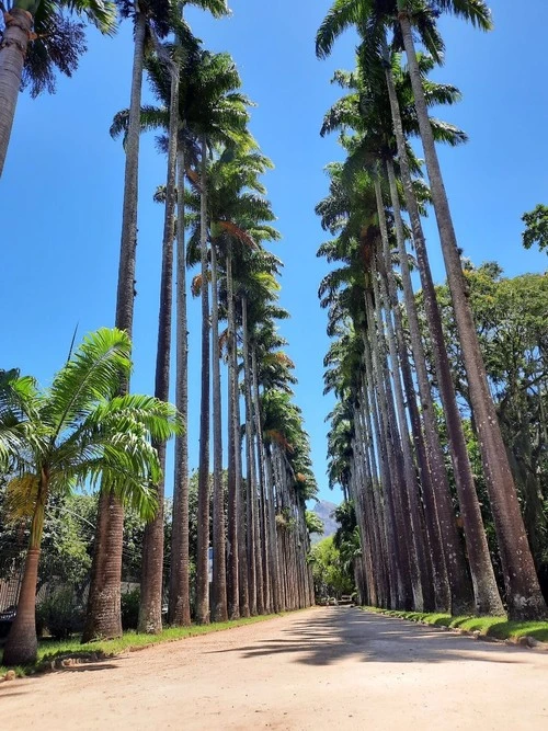 Botanical Garden - Brazil