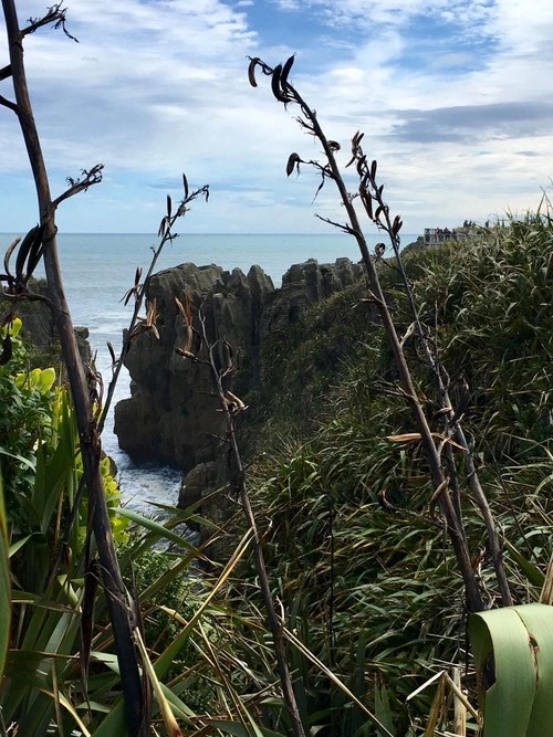 Pancake Rocks - От Punakaiki, New Zealand