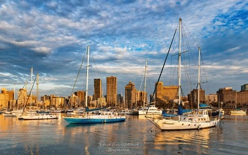 Point Yacht Club - South Africa