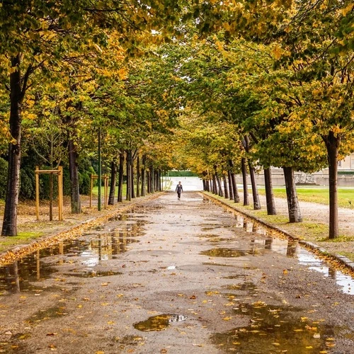 Parc Borély Street - France