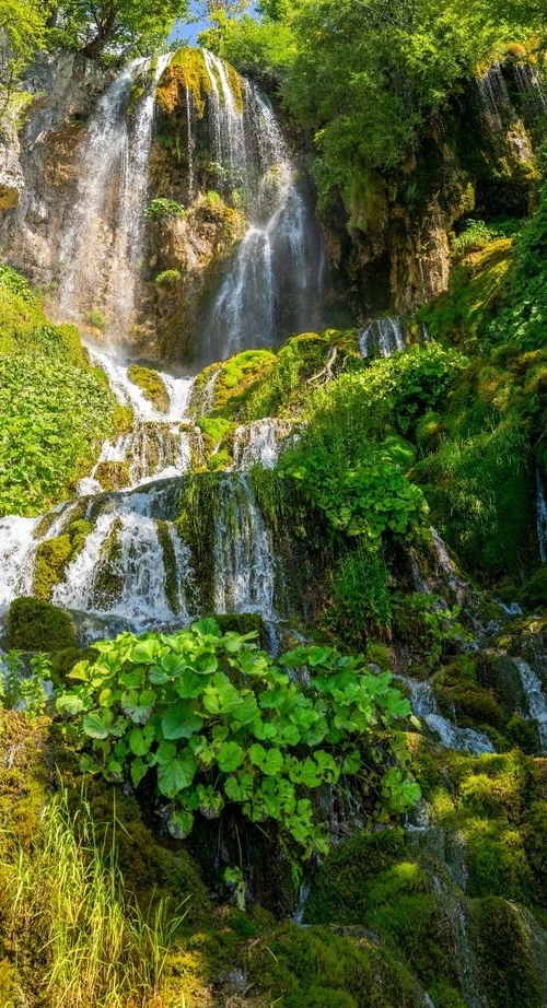 Sopotnica Waterfalls - Serbia