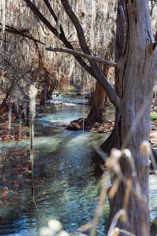 Medina River - From Castroville Regional Park, United States