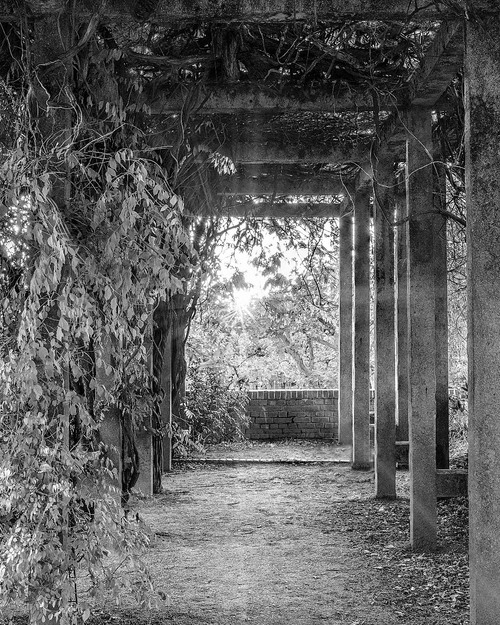 Hochzeitsturm - Des de Gardens, Germany
