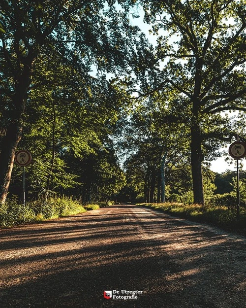 MTB Route - จาก Road, Netherlands