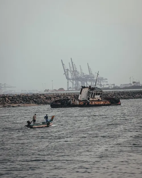 Chennai Fishing Harbor - India