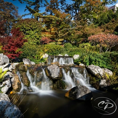 Japanischergarten - Từ Im Park, Austria