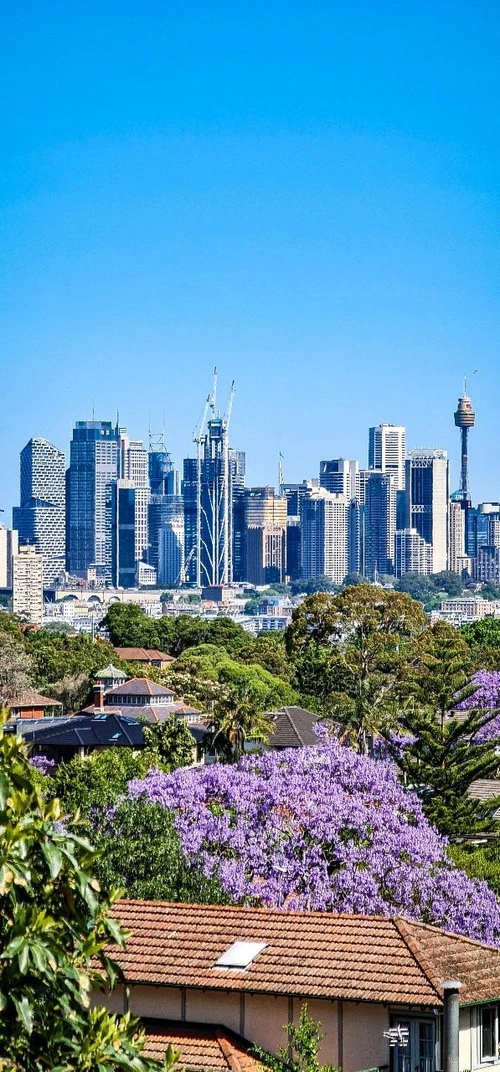 Sydney CBD skyline - Aus Public terrace at 154 Pacific Highway - St Leonards, Australia