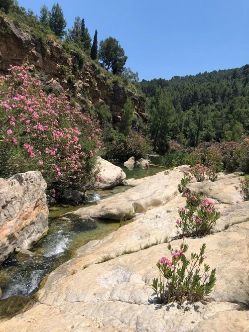 Buñol River - Aus Riverside, Spain