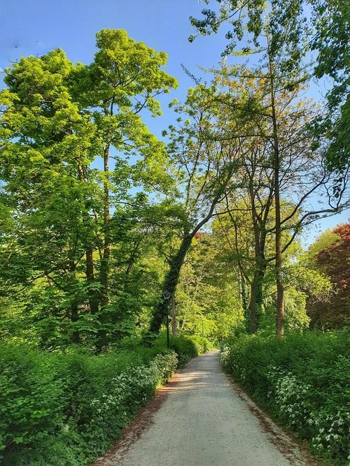 Buitensmedenvest - Belgium