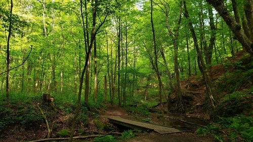 Governor Dodge Park - United States