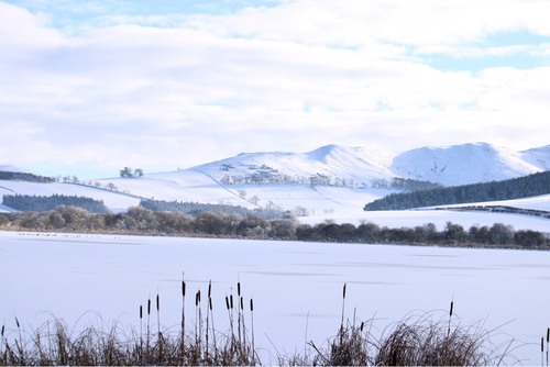 Yetholm Loch Birdhide - United Kingdom