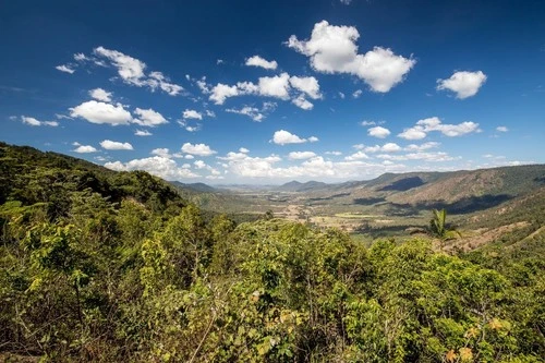 Valley view - From Goodes Lookout / Eungella, Australia