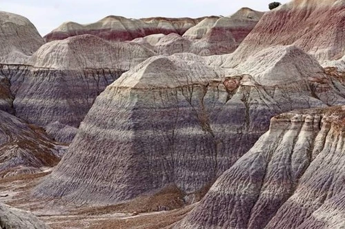 Blue Mesa - から Blue Mesa trailhead, United States