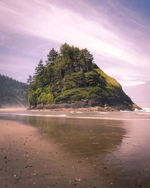 Proposal Rock - Dari Beach, United States