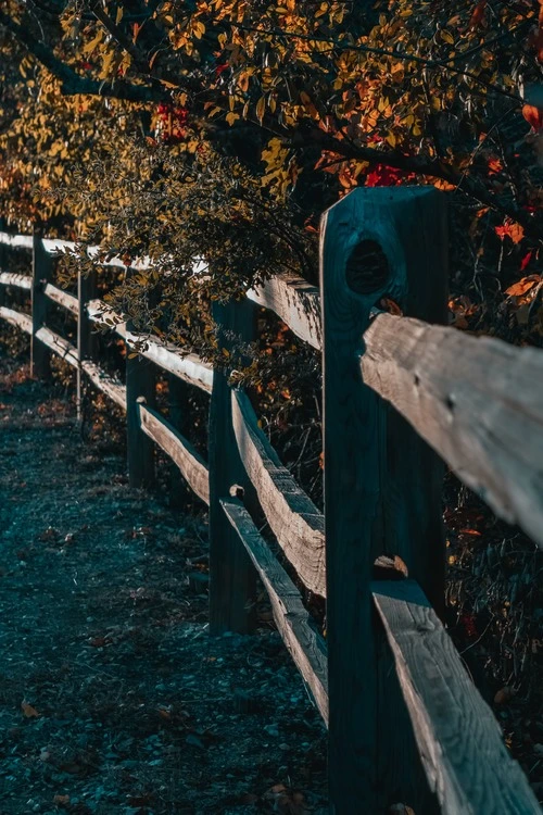 Trial Fences - Aus Walker Ranch Park, United States