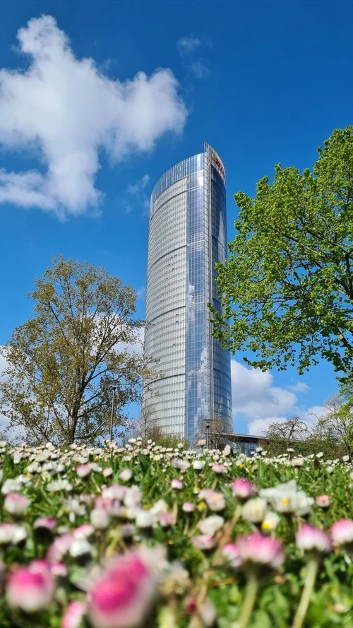 Field of Daisies & Posttower - 从 Meadows at the Parkplatz am Posttower, Germany