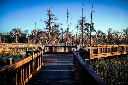 East Cane Island - United States