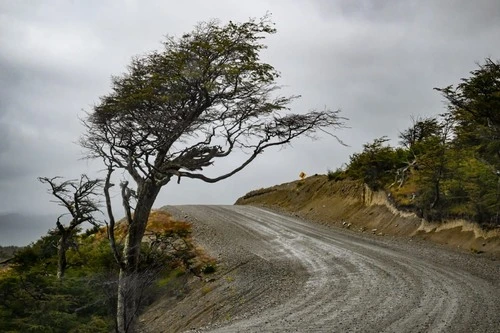 Camino a Estancia Harberton - Argentina