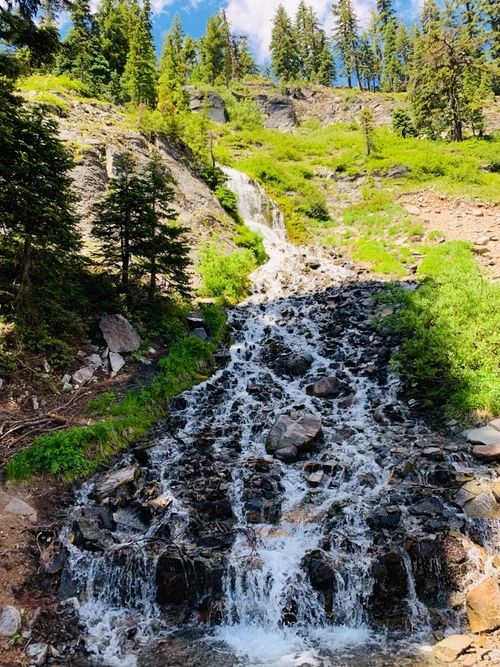 Vidae Falls - United States