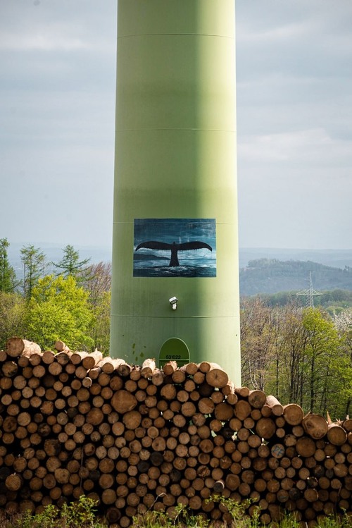 Save the wales - Desde The road above, Germany