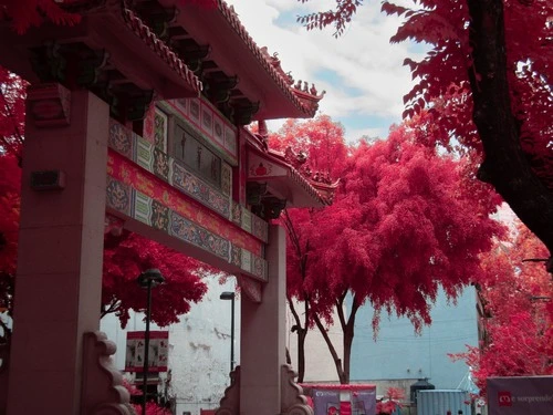 Chinese art - Desde Jardín Santos Degollado, Mexico