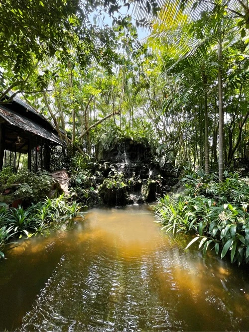 Bai Orchid-Butterfly Farm - Thailand