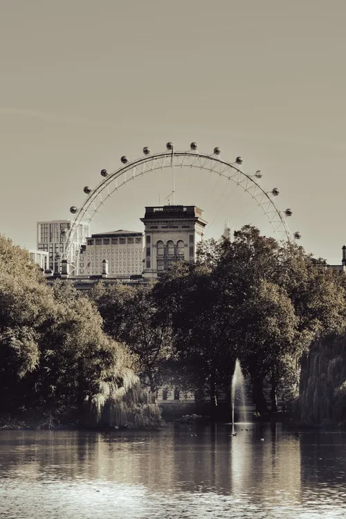 London Eye - From St James's Park - The Blue Bridge, United Kingdom