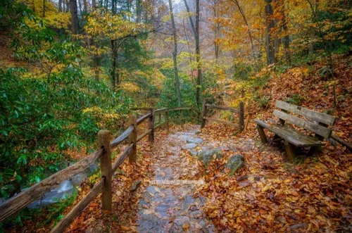 Pearson's Falls and Glen - United States