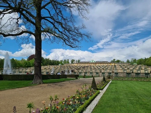 Schloss Sanssouci - From Park Schloss Sanssouci, Germany