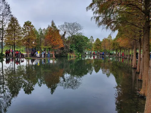 Yuemei Wetland Ecology Park - Taiwan