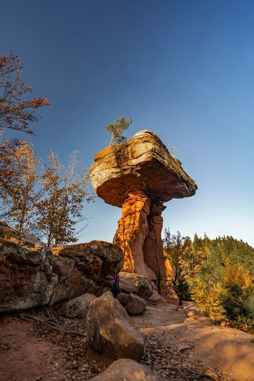 Devil's Table - Germany