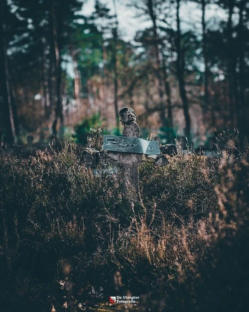 Graveyard - From Abandoned Graveyard, Netherlands