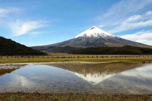 Cotopaxi - Aus Laguna De Limpiopungo, Ecuador