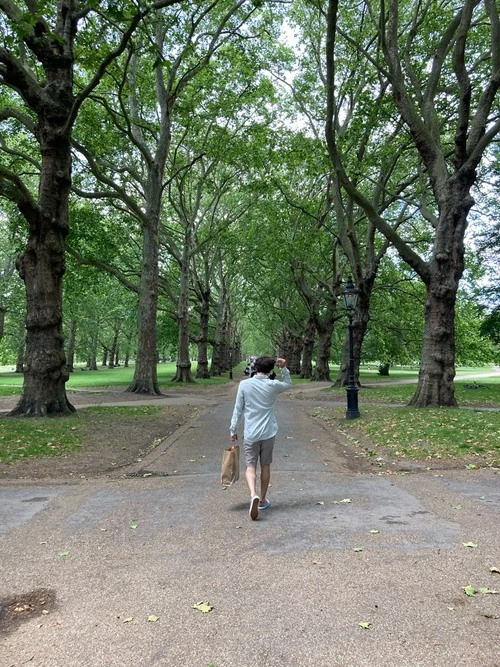 Green Park - From South Entrance, United Kingdom