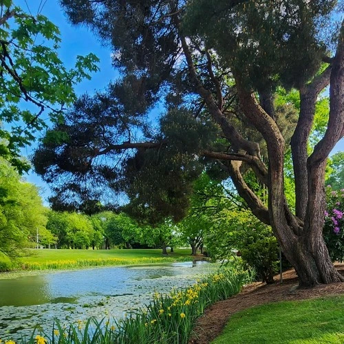 Lake Sacajawea - United States