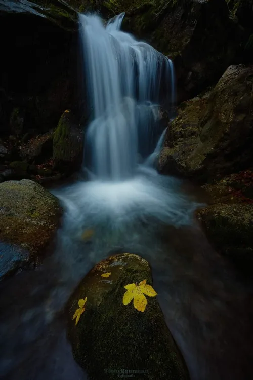 Riemenstaldnerbach Wasserfall - Desde Approximate area, Switzerland