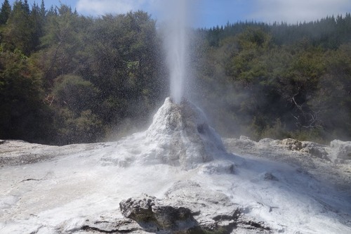Lady Knox Geyser - New Zealand